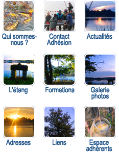Menu de navigation